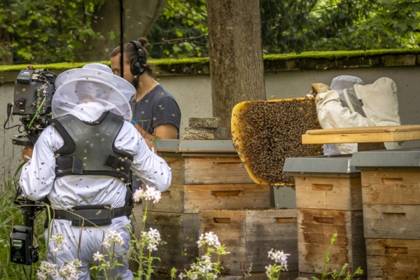 Gemeinsam für die Bienen